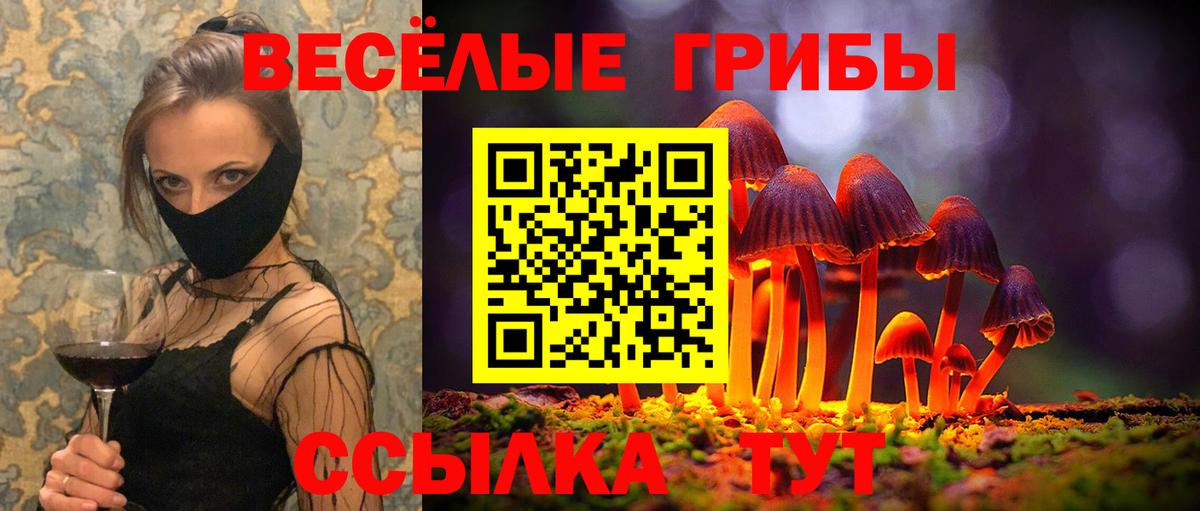 Грозный  Галлюциногенные грибы Magic Shrooms  Галлюциногенные грибы Magic Shrooms  Вход с VPN 